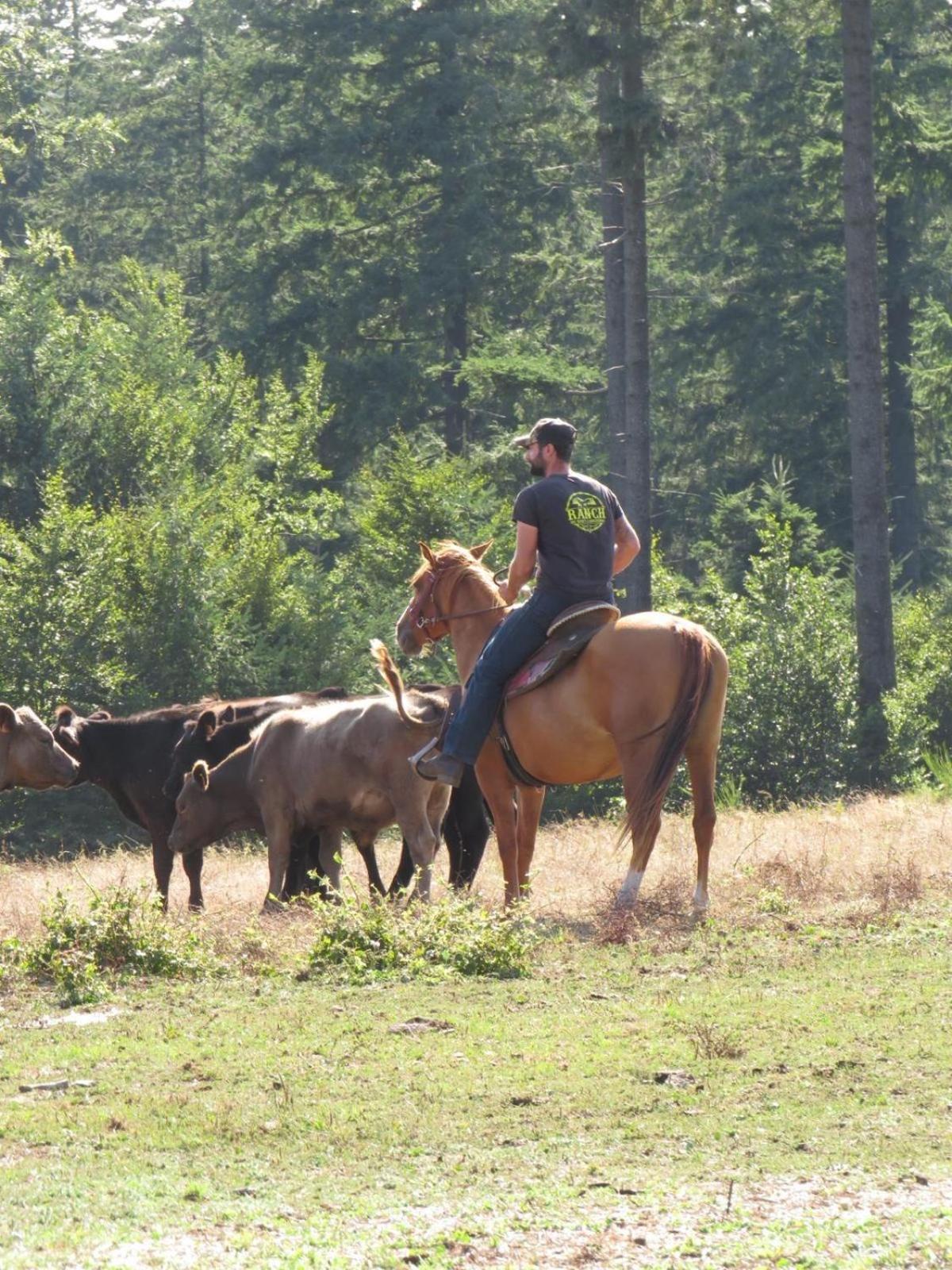 Ranch Du Haut-languedoc *